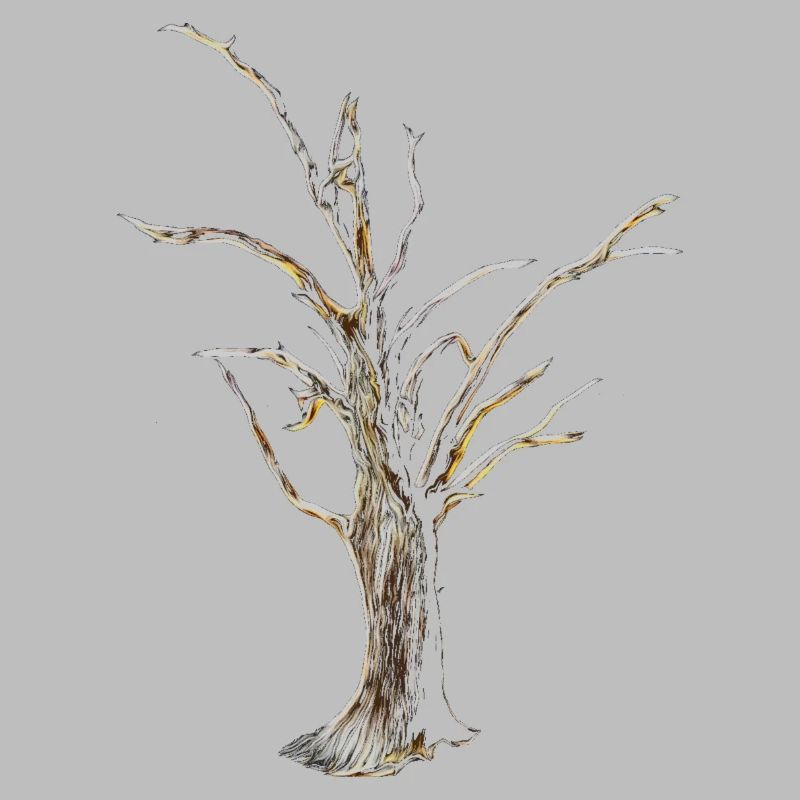 Baum