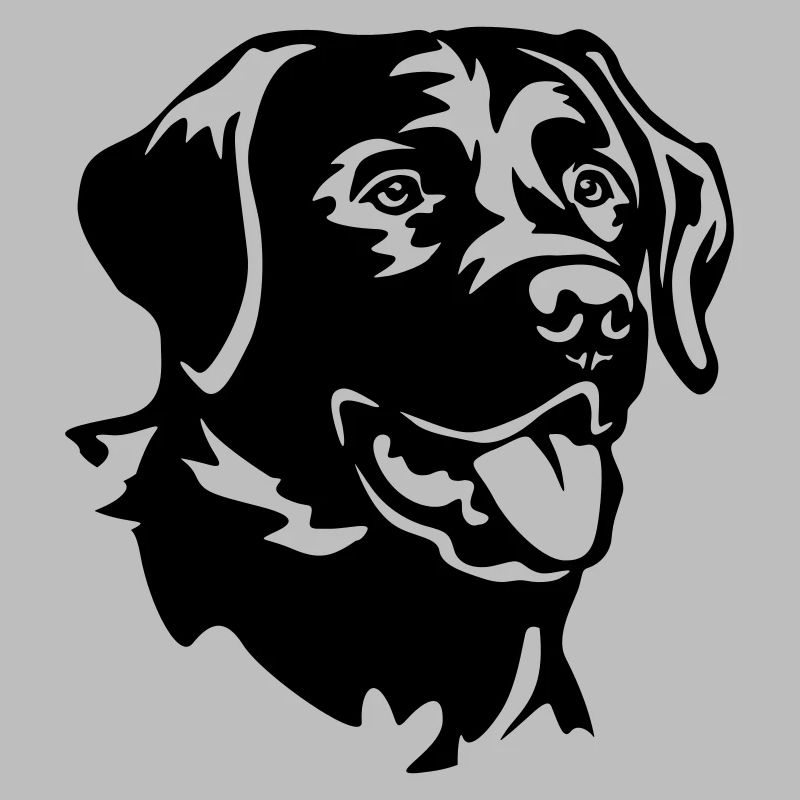 Labrador Head