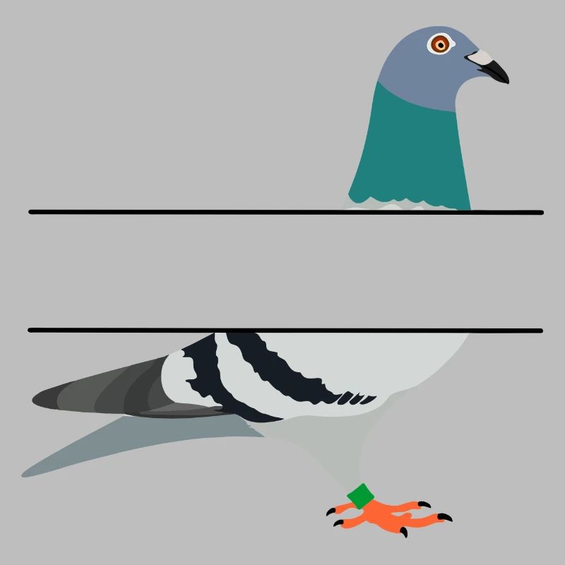Pigeon with blank text bar between them to create your own name