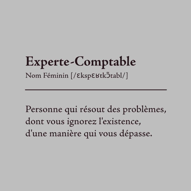 Experte Comptable Definition