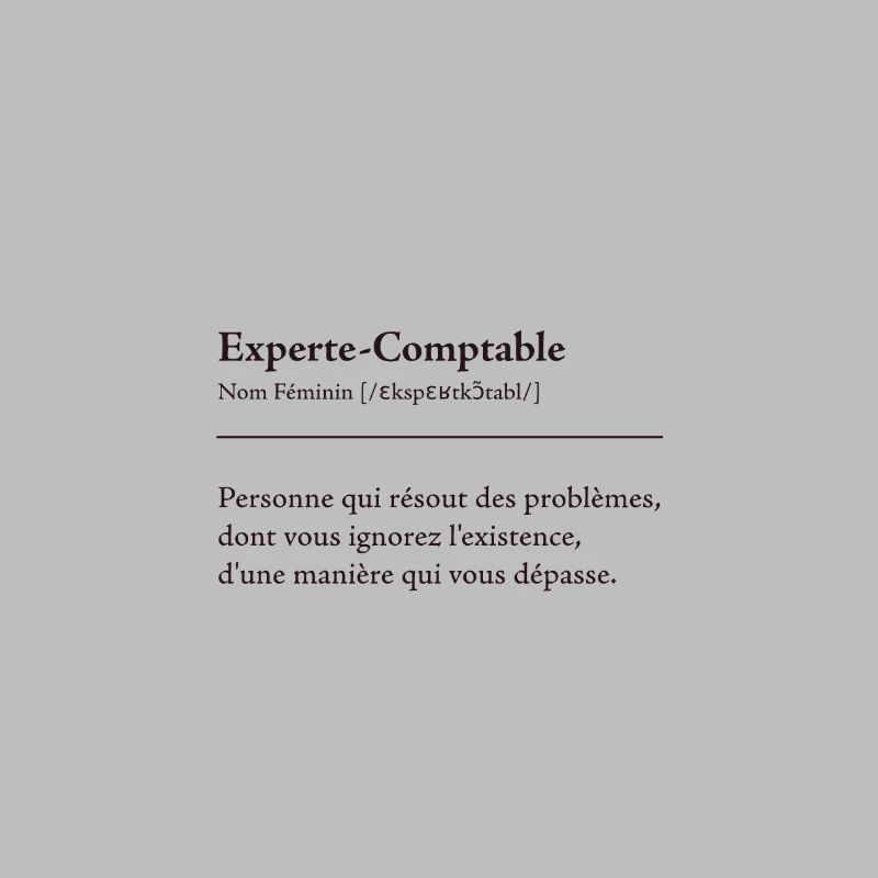 Experte Comptable Definition
