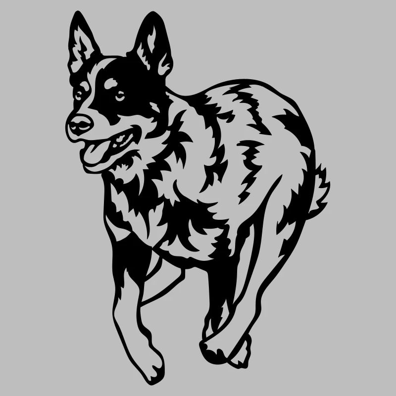 Australian Cattle Dog
