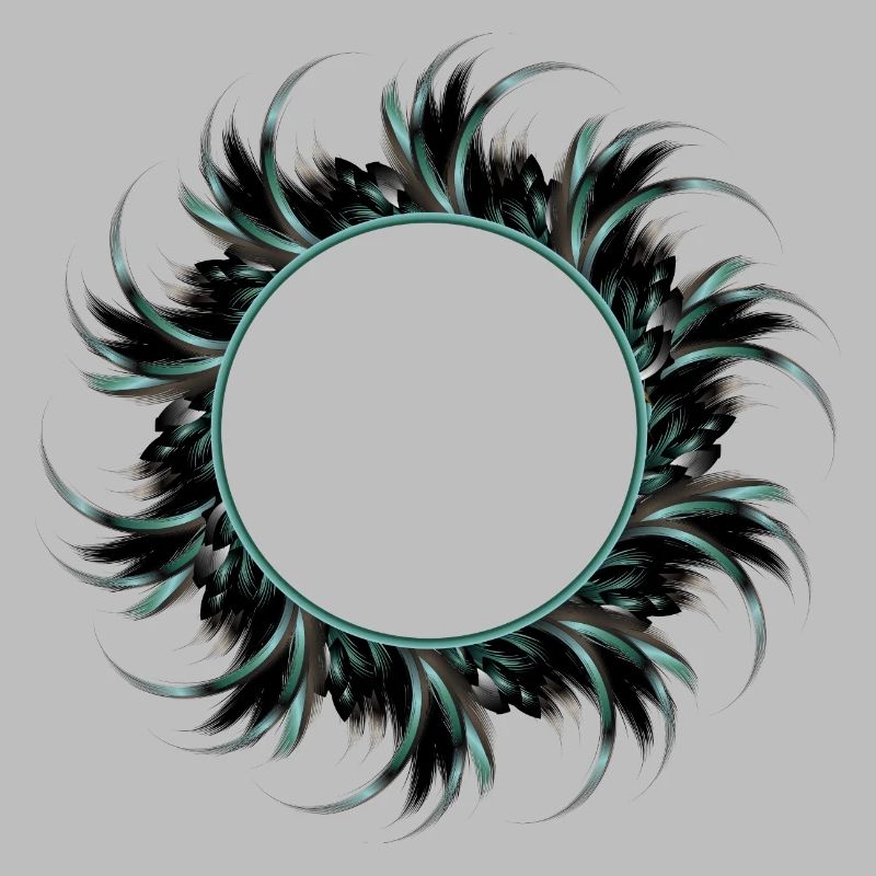 round frame made of drawn feathers