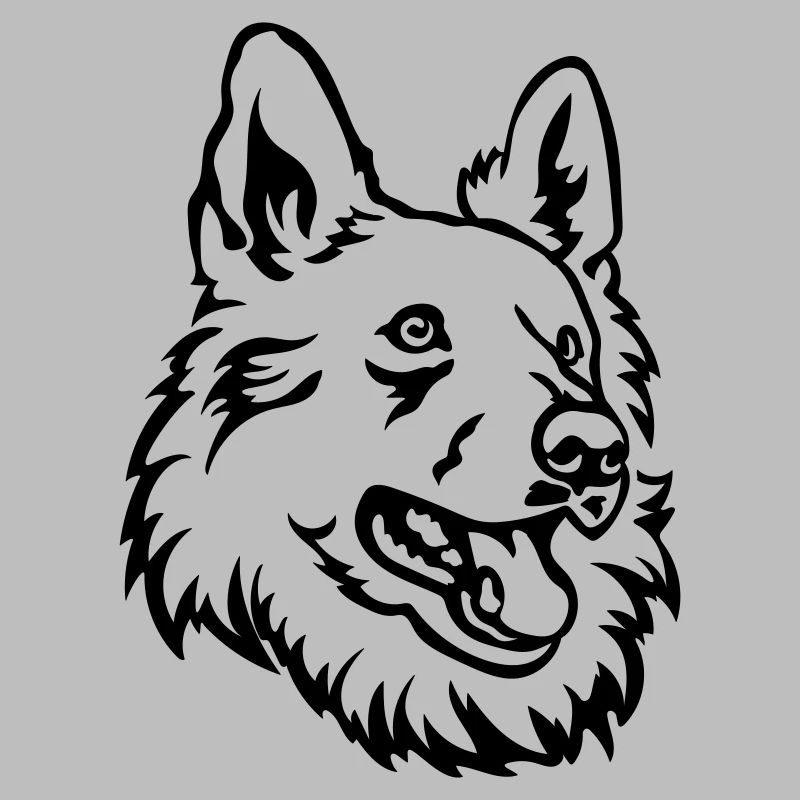 Schweizer Schäferhund Kopf