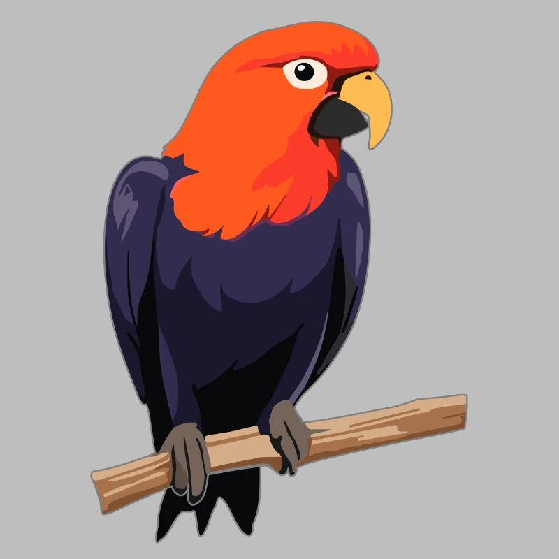 Papagei Vogel