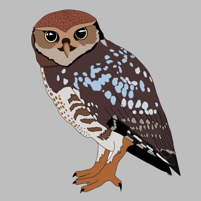 Eule