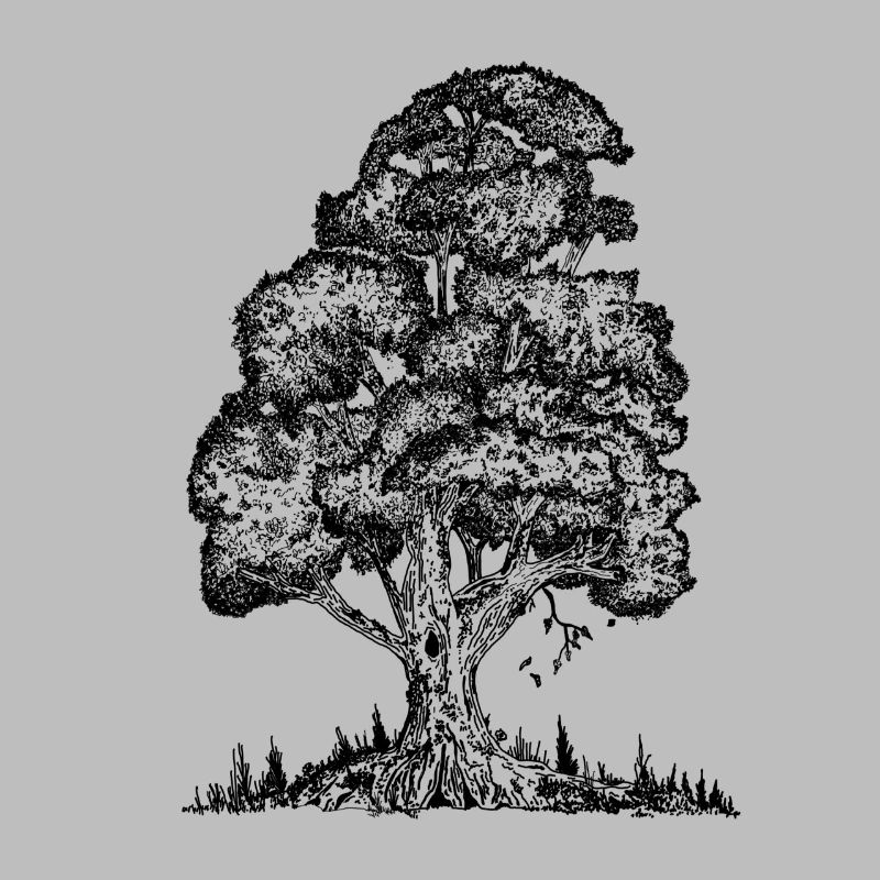 MJR - Black Tree