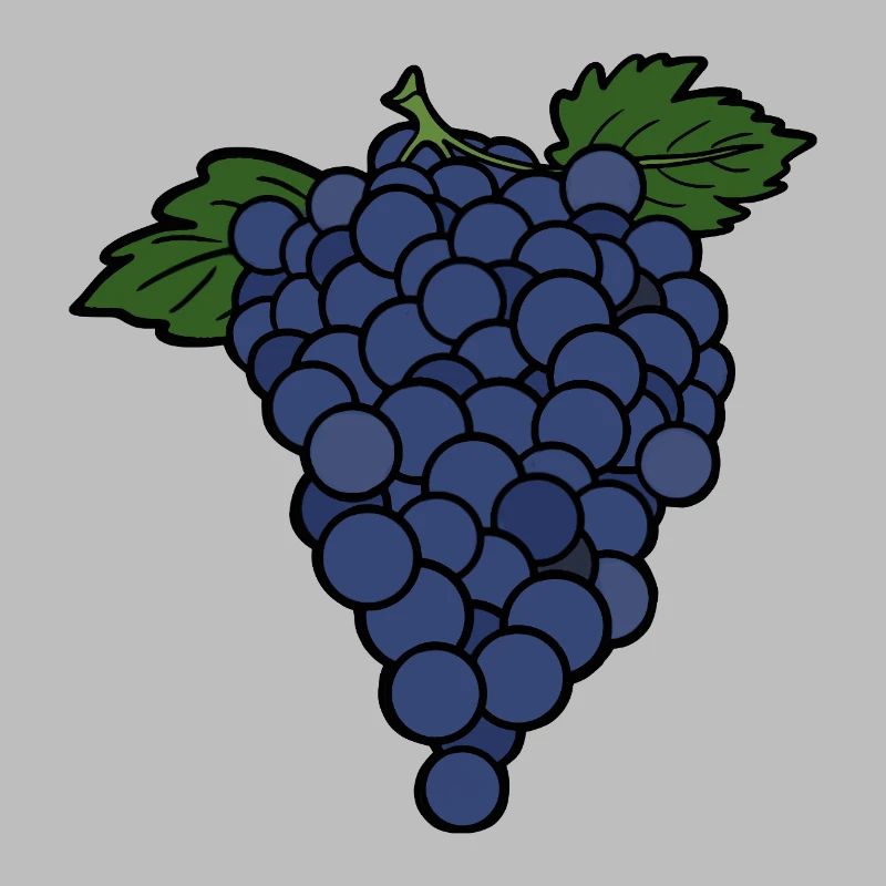Delicious Fruit Grape