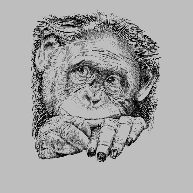 Affe