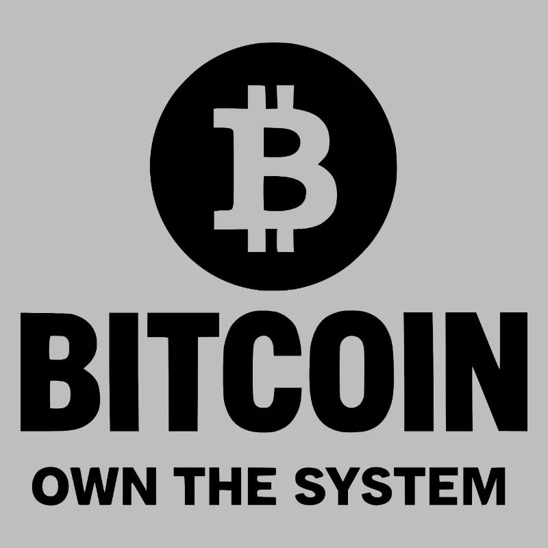 Bitcoin - Posséder le système