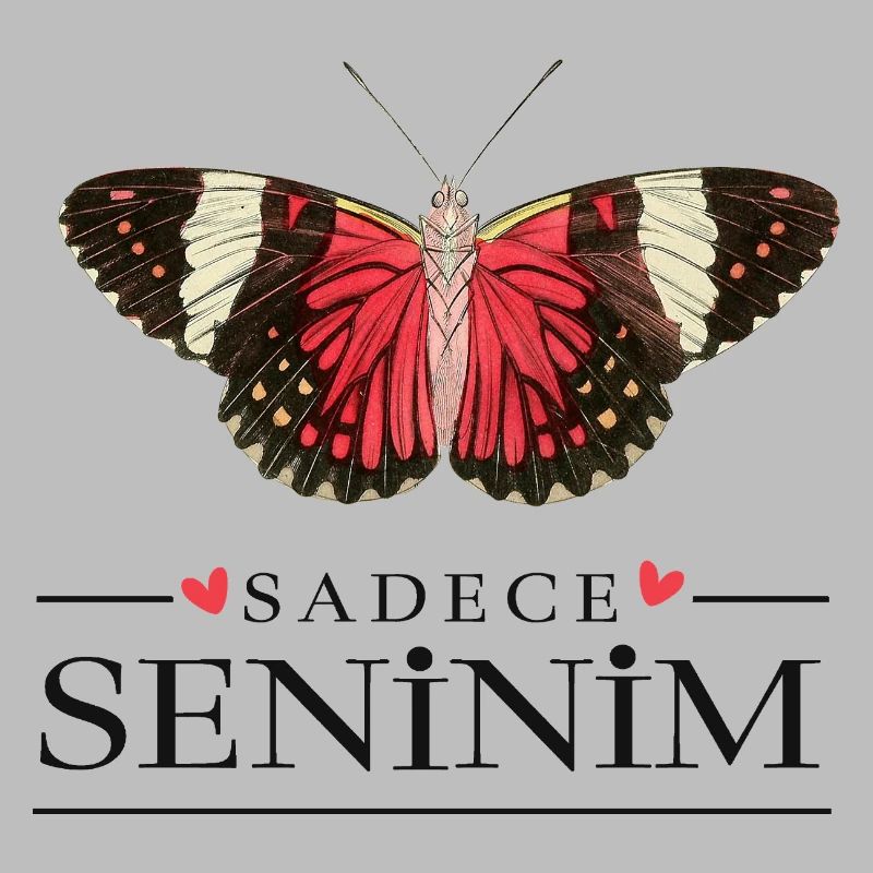Conception créative de papillons – Sadece Seninim