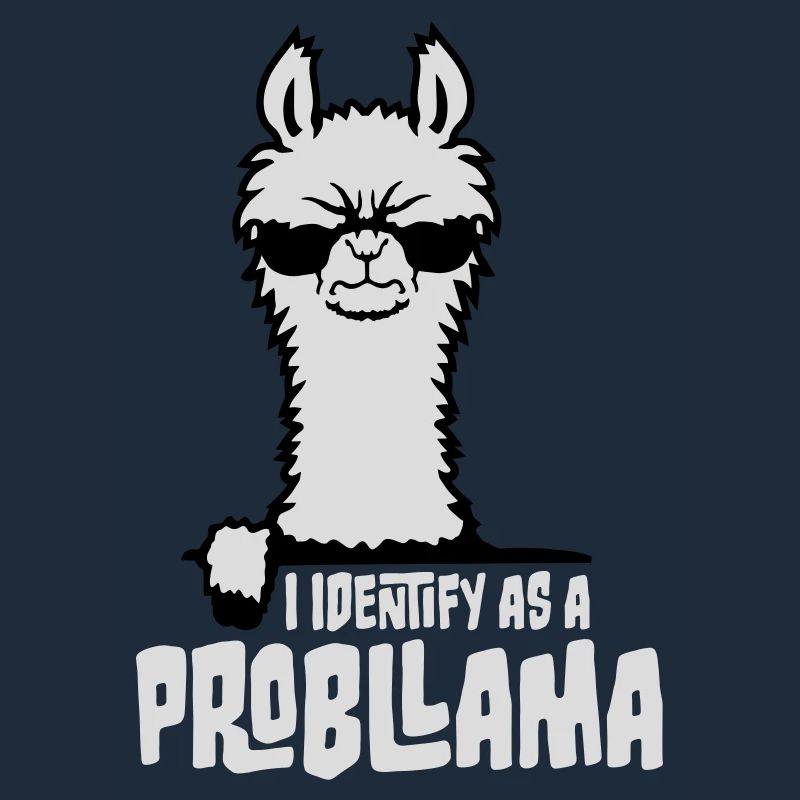 Je m’identifie comme un probllama Cool Lama Problem Spruch