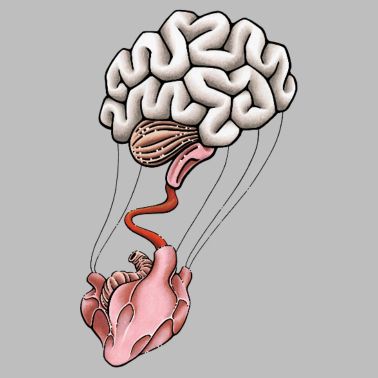 Cuore e Cervello