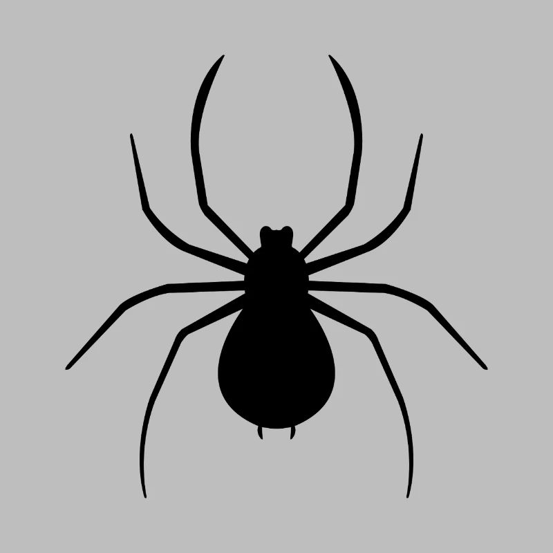 spider