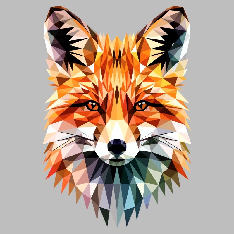Fox Love Foxes Red Fox Vulpes Little Fox