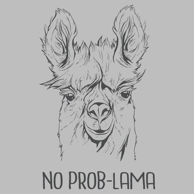 Pas de problème – Alpaga cool : expression drôle