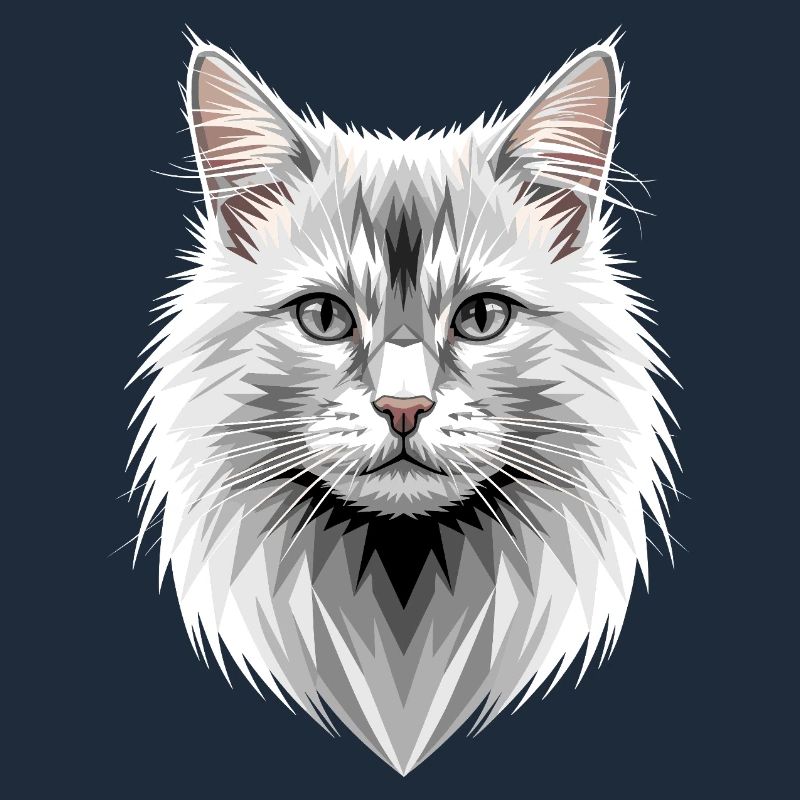 Chat Angora Chat Angora Chat Angora Mignons Chats Angora