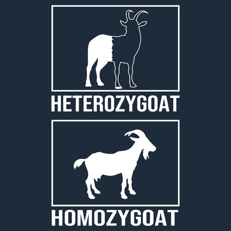 Molecule Structural Formula