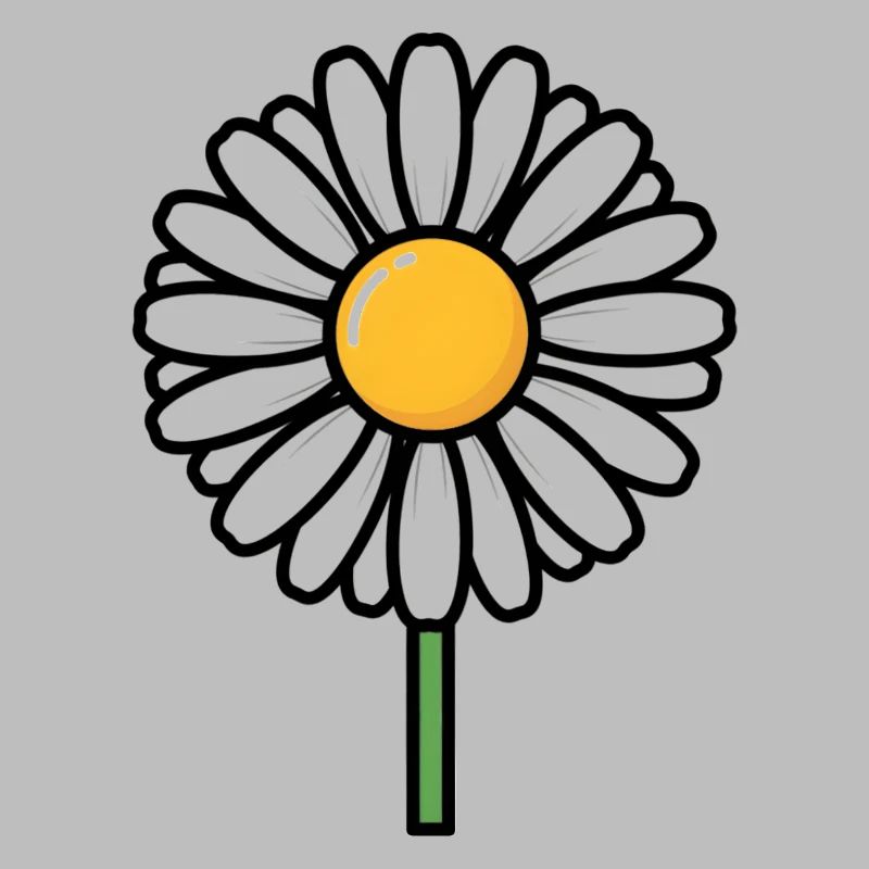daisy