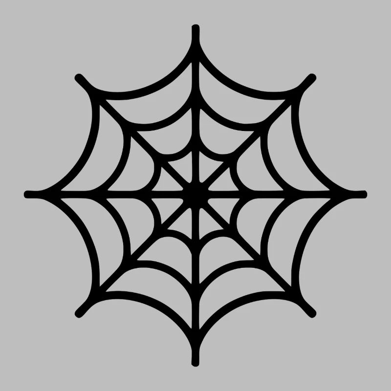 Spider Web Spider