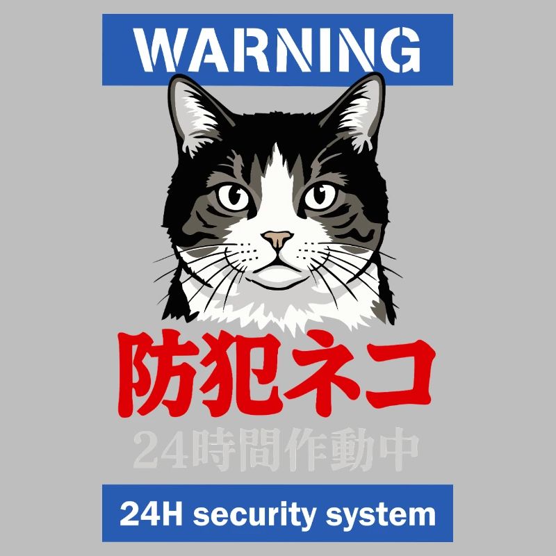 24h Security System