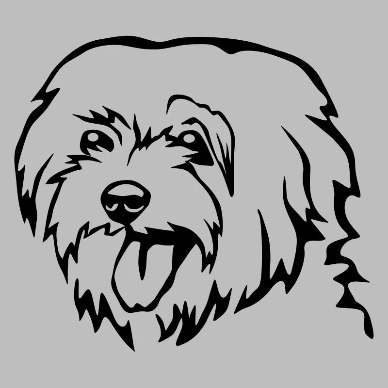 Maltese head