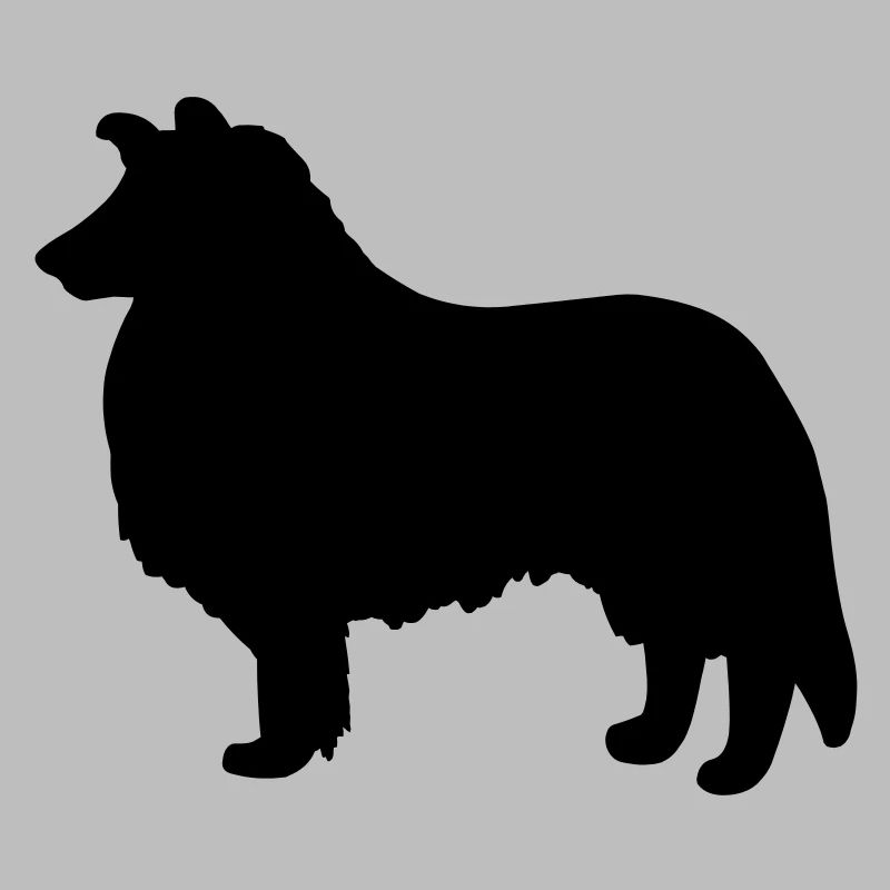 Collie Dog