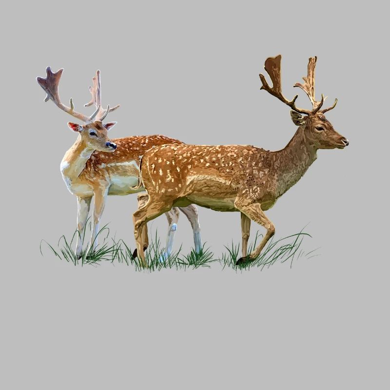 cerf