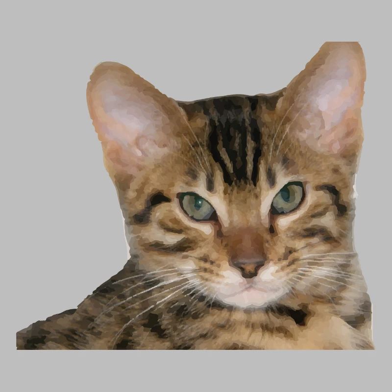 J’aime mon chat guépard