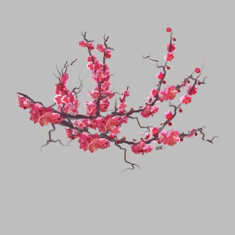 sakura