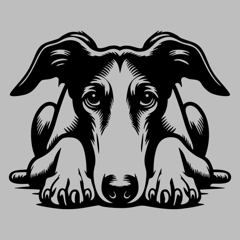 Galgo Kopf mit Pfoten