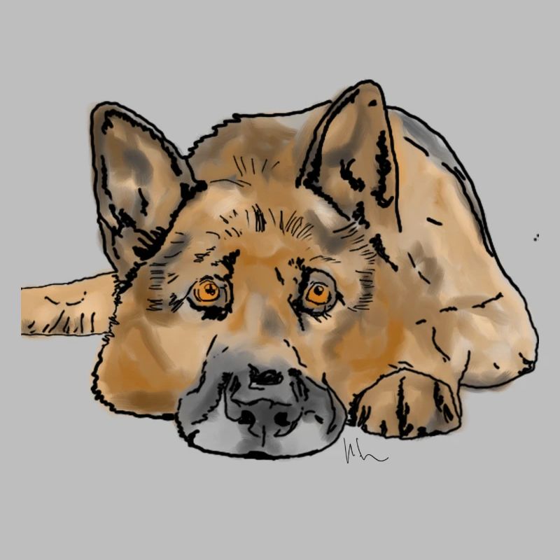 Deutscher Schäferhund