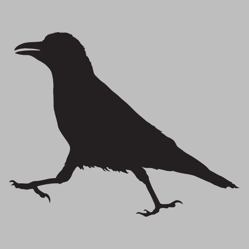 Crow I
