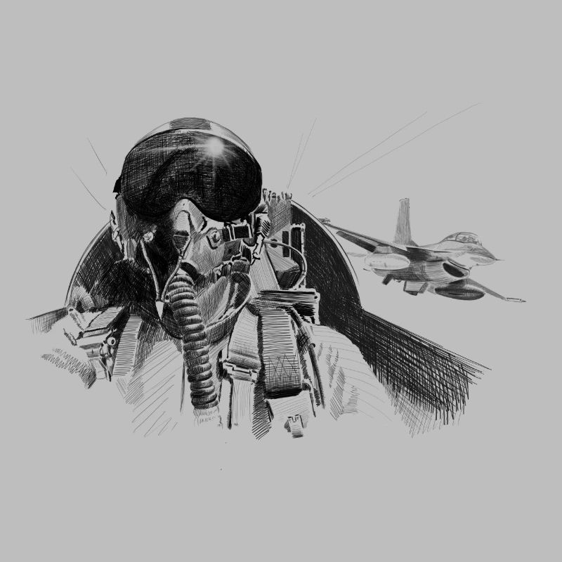 Fighter pilot