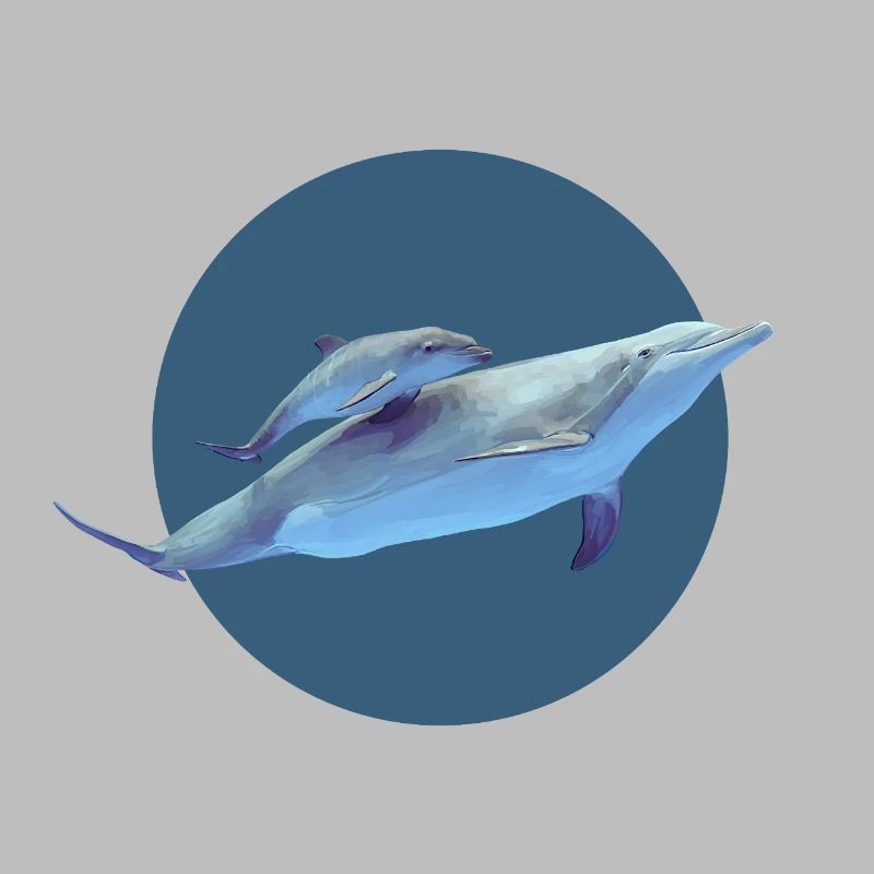 Dolphin