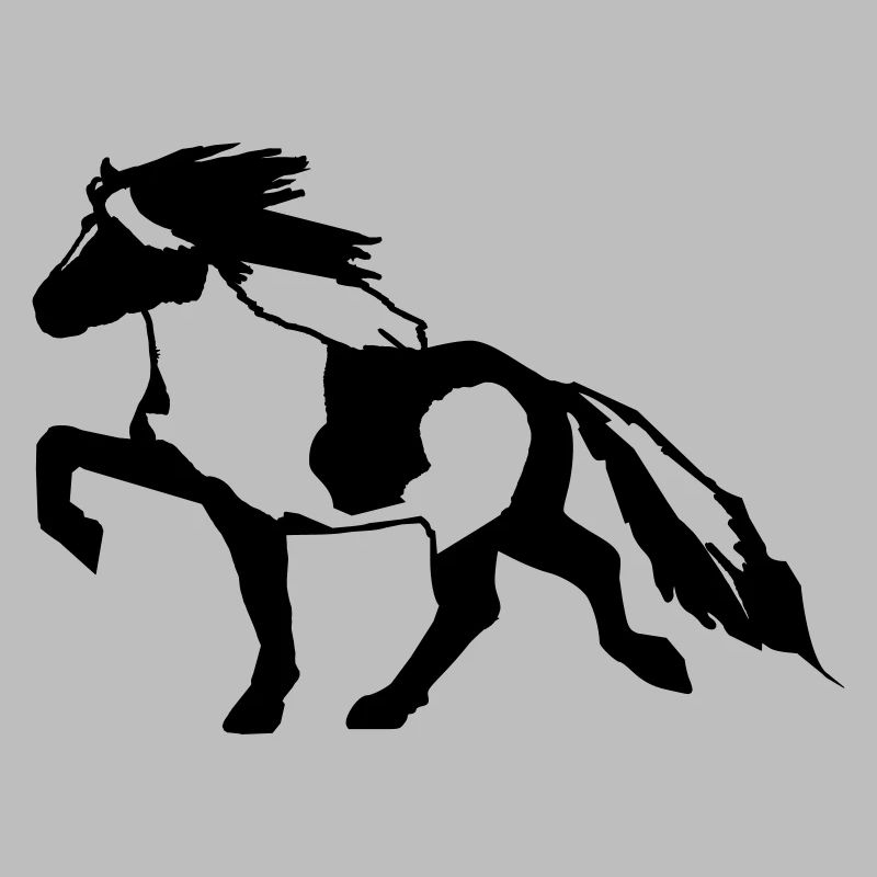 Islandpferd Schecke 7, Pinto reiten Isländer