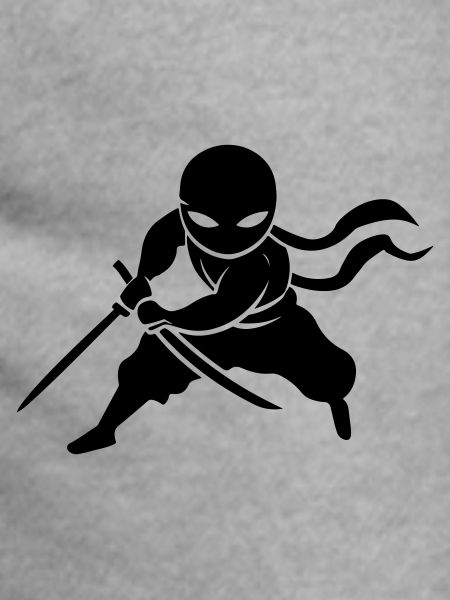 Ninja Samurai