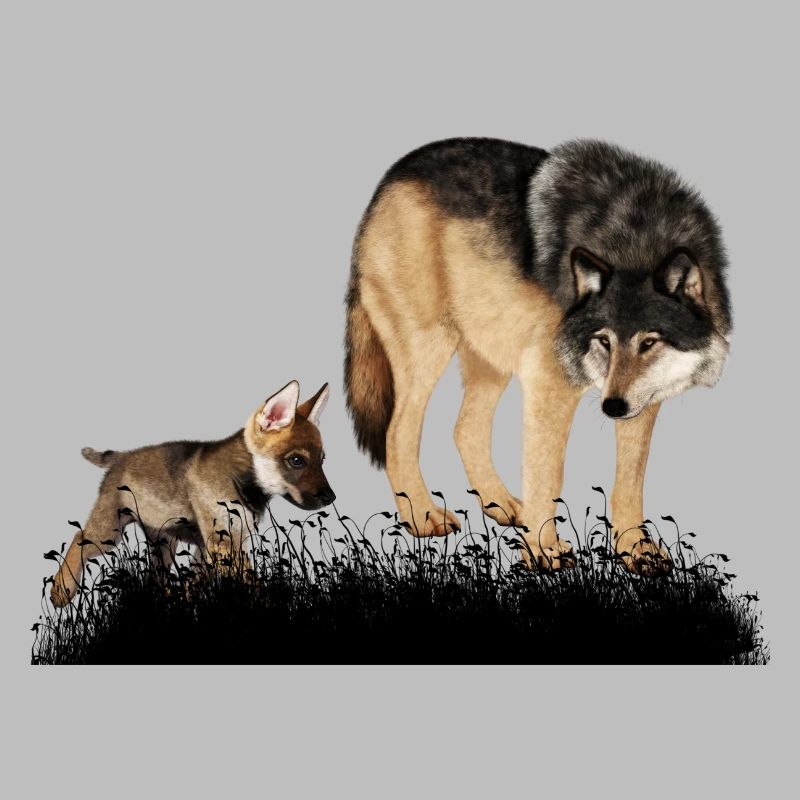 Mit dem Bär im Wald umwerfender Wolf