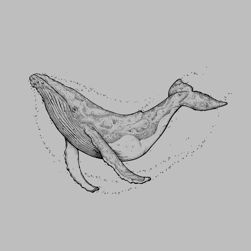 Humpback whale