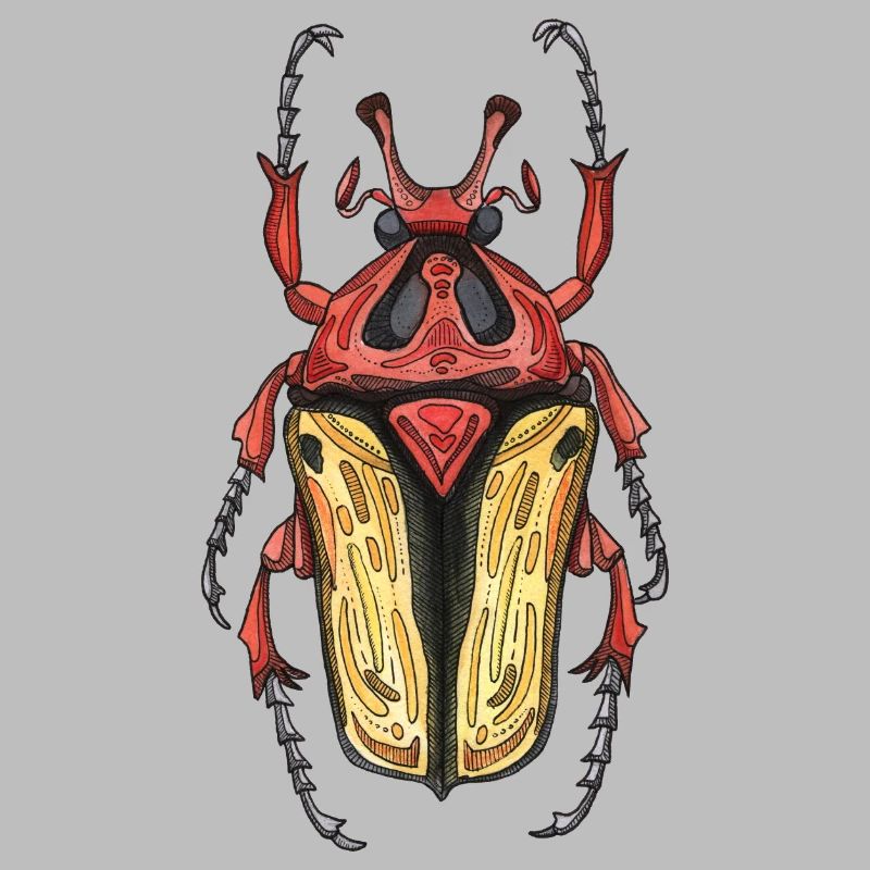 Big Beetle Stag - cerf géant