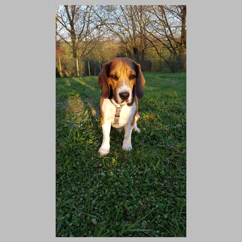 BD2D42FA 2360 40FD B0CB 5113CCC2E731