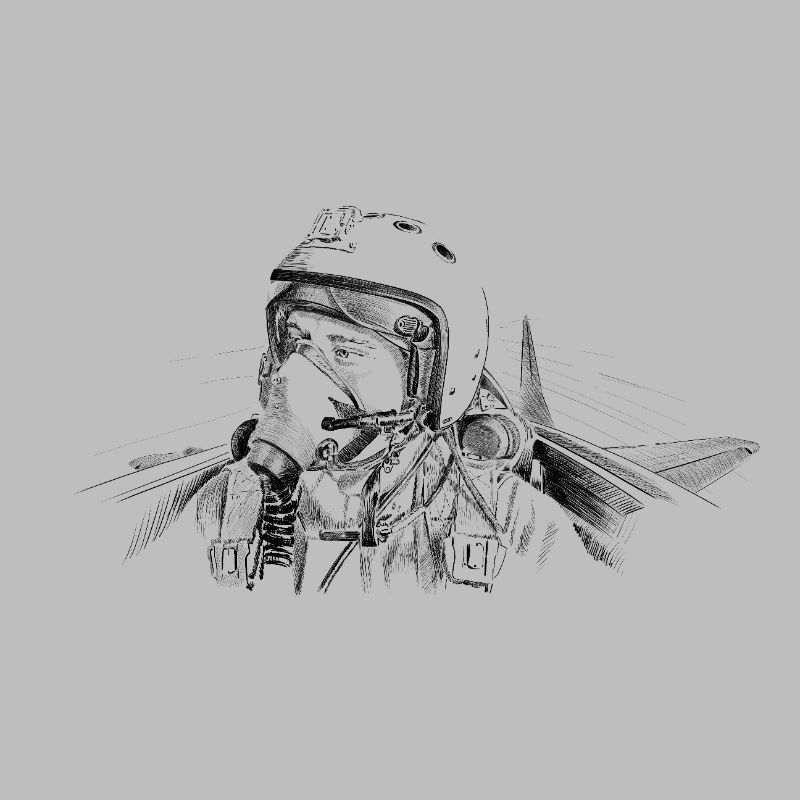 Fighter pilot