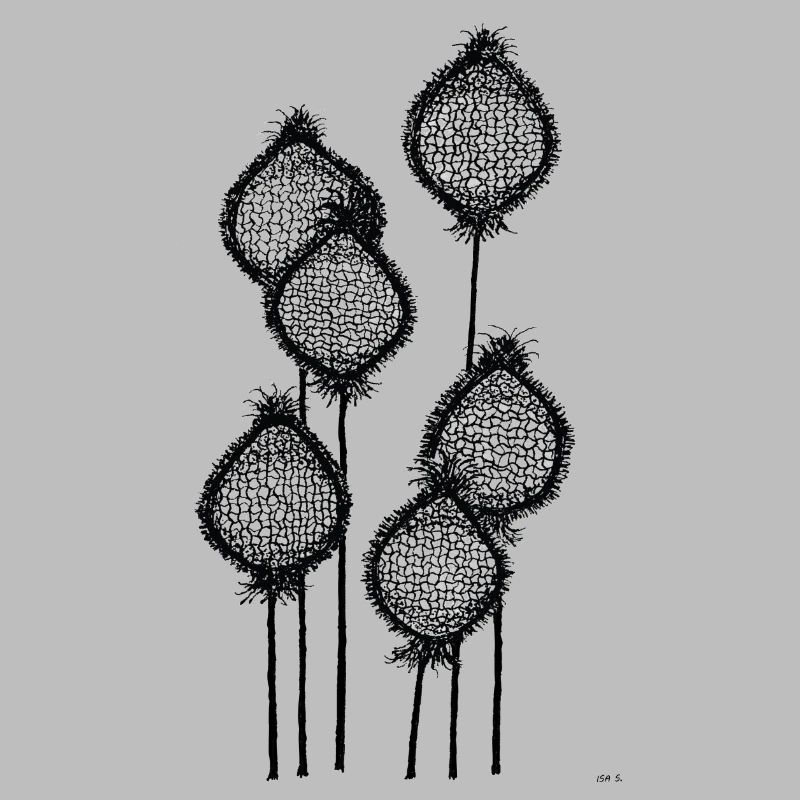 Mohnknospen oder Ananas am Stiel? Schwarz abstrakt