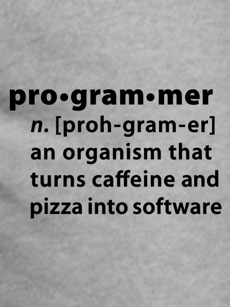 Programmer Wörterbuchdefinition