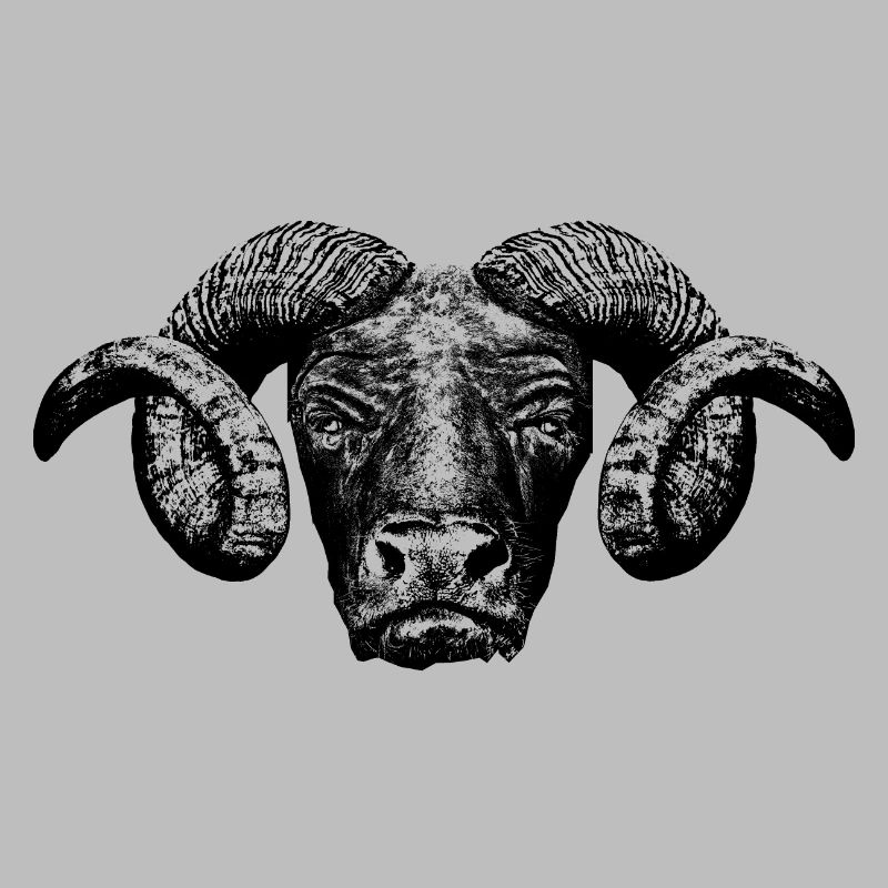Minotaur / Head