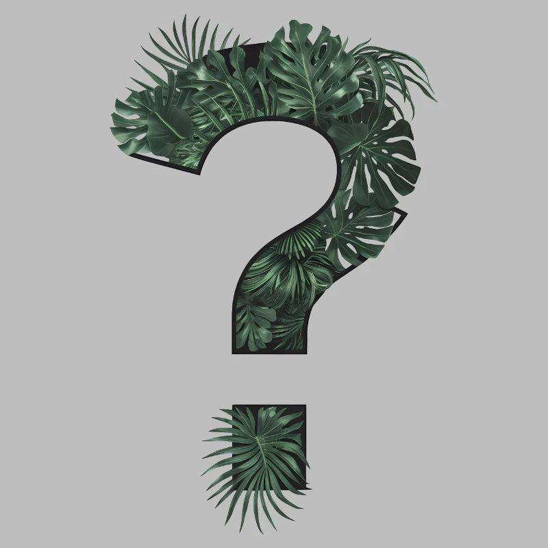 Point d’interrogation plantes tropicales