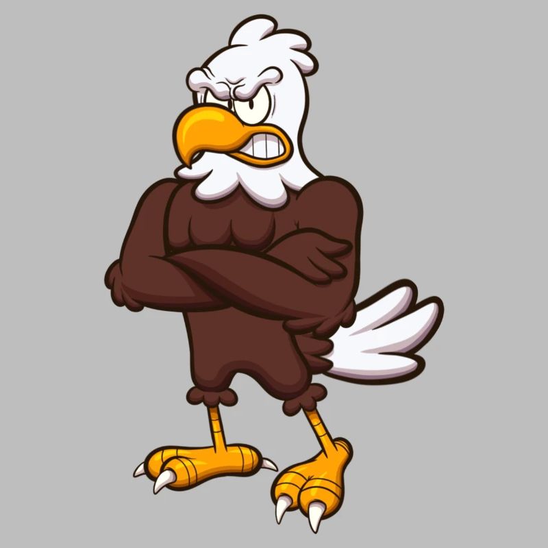 Angry Eagle Character