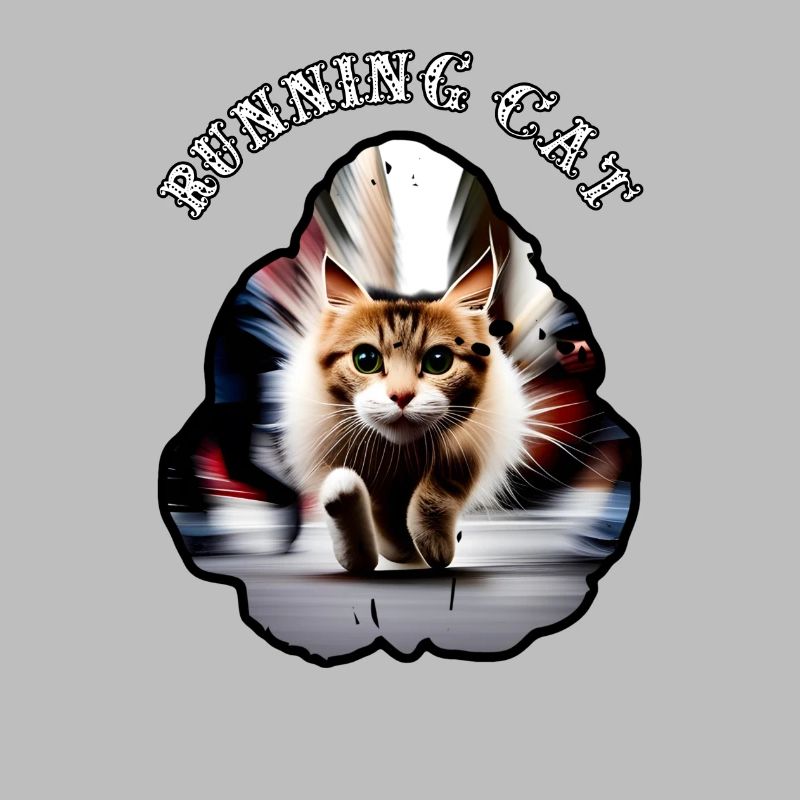 Chat en cours d’exécution 9