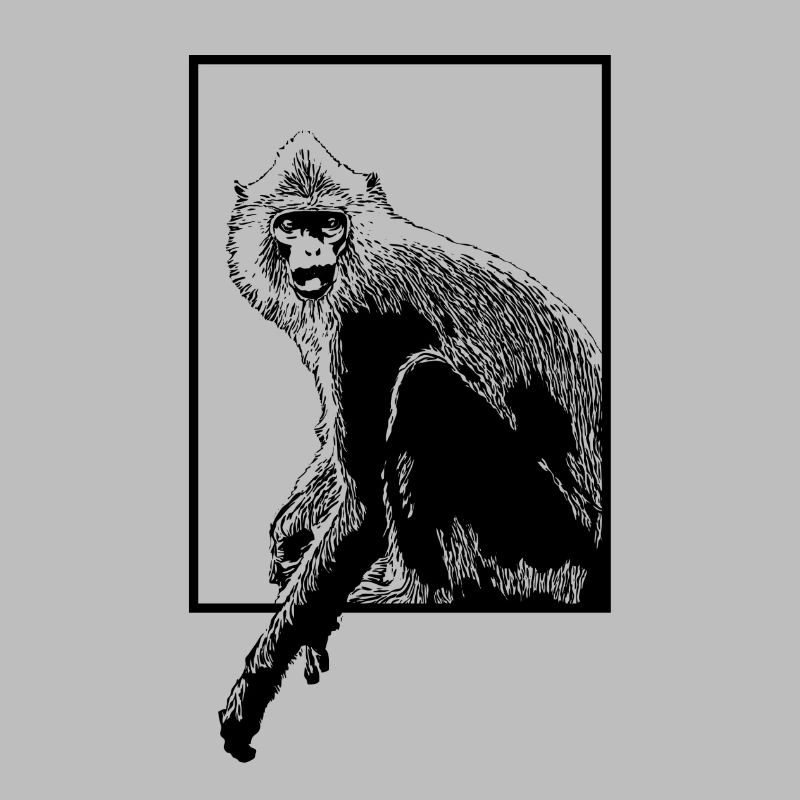 Monkey Hanuman Langure