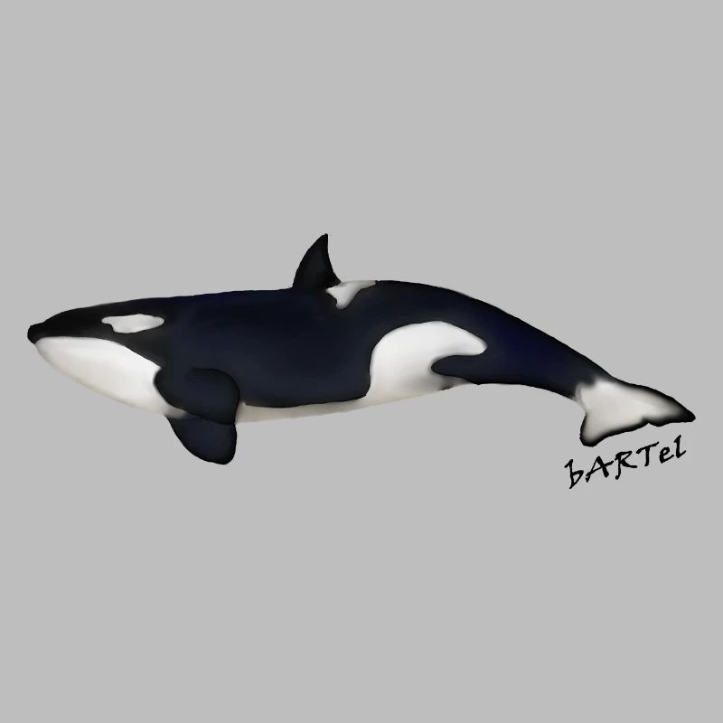 Orca 2